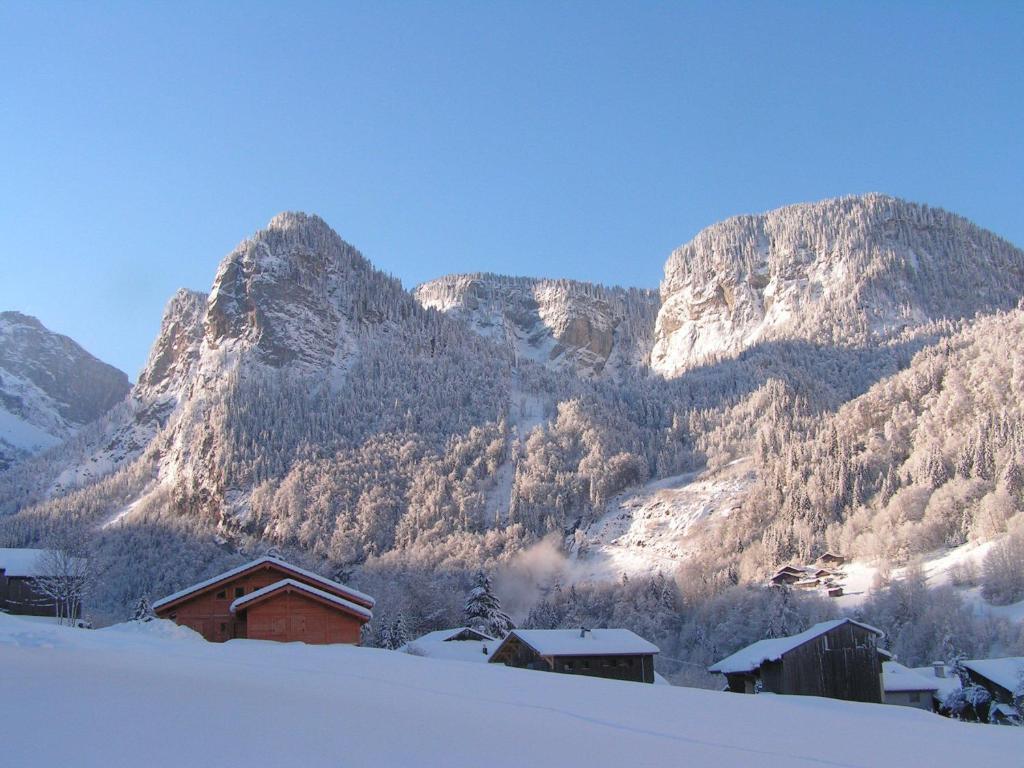 Chalet Narcisse Sixt Pokoj fotografie