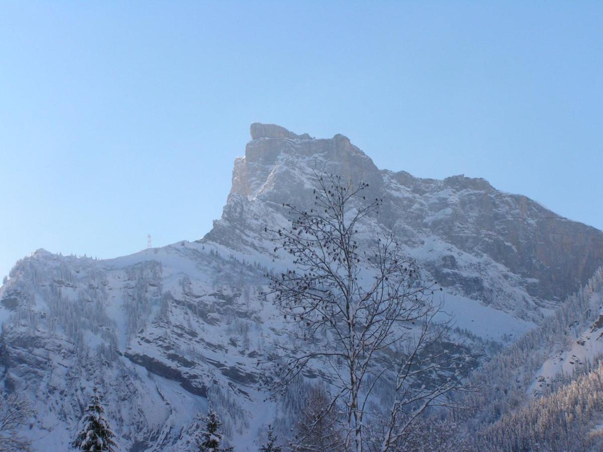 Chalet Narcisse Sixt Pokoj fotografie